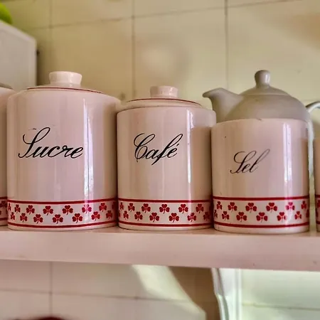 Large With Sea And Port View